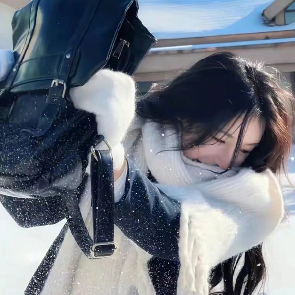 公主复仇者
