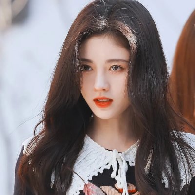 长毛狗